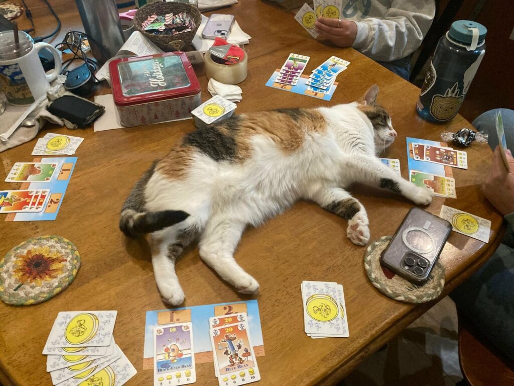 A cat named Ellie lies stubbornly in the middle of a card game