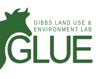 glue