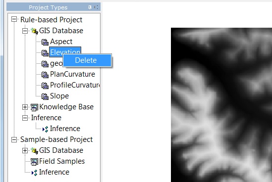 RBI_Delete_Layer
